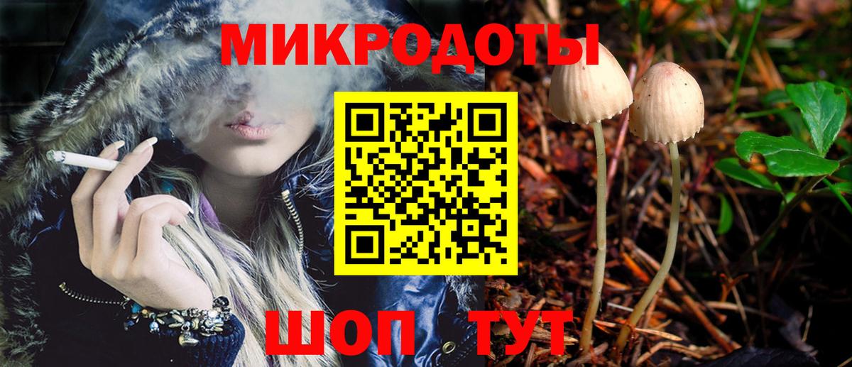 Грозный  Псилоцибиновые грибы MAGIC MUSHROOMS  Вход с VPN 