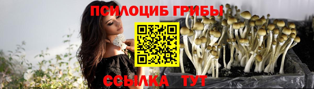 Галлюциногенные грибы мухоморы Грозный
